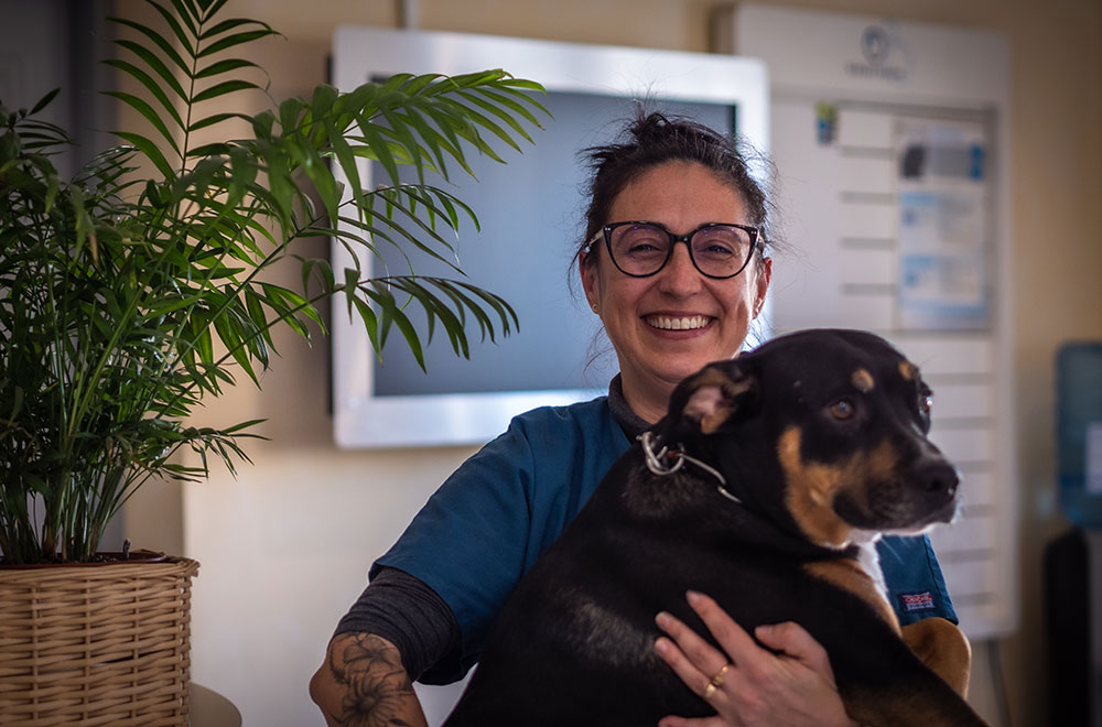 Audrey équipe vergèze clinique vétérinaire du cèdre